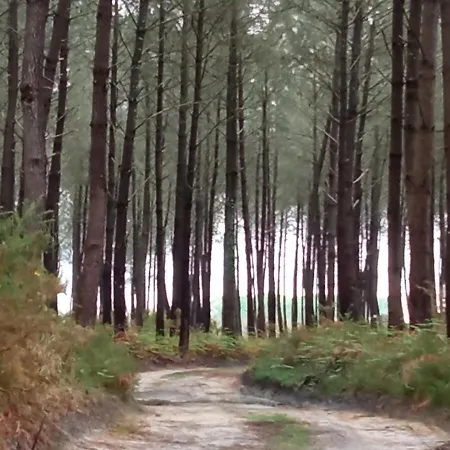 Maison Familiale Charmante Dans Les Landes * Lesperon (Landes)