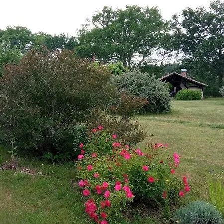Maison Familiale Charmante Dans Les Landes *
