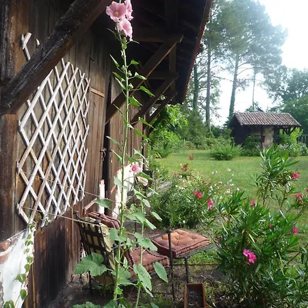 Maison Familiale Charmante Dans Les Landes * Lesperon (Landes)